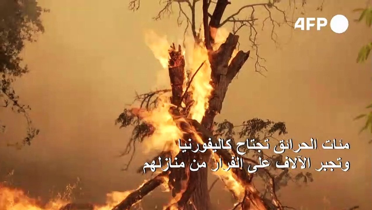 مئات الحرائق تجتاح كاليفورنيا وتجبر الآلاف على الفرار من منازلهم