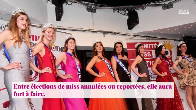 Sylvie Tellier : sa dernière photo Instagram divise les internautes