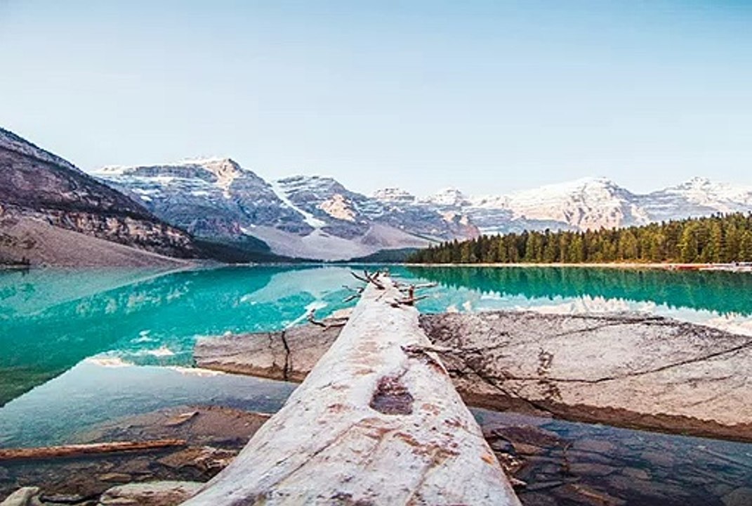 Top universities in Canada for international students| Universities in Canada for international students