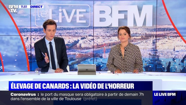 Elevage de canards: la vidéo de l'horreur - 20/08