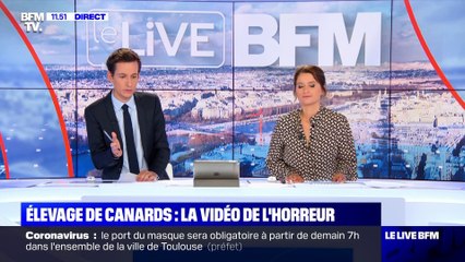 Elevage de canards: la vidéo de l'horreur - 20/08