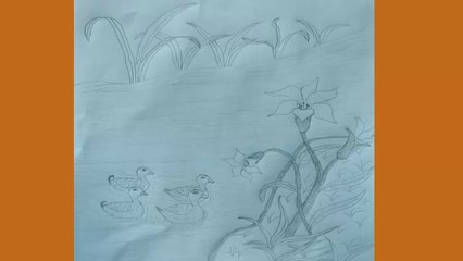 How to drawing scenery with ducks swim in the river। step by step