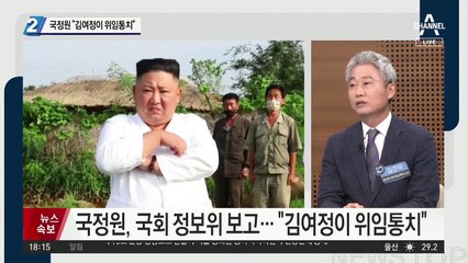 국정원 “北, 김여정이 위임통치”