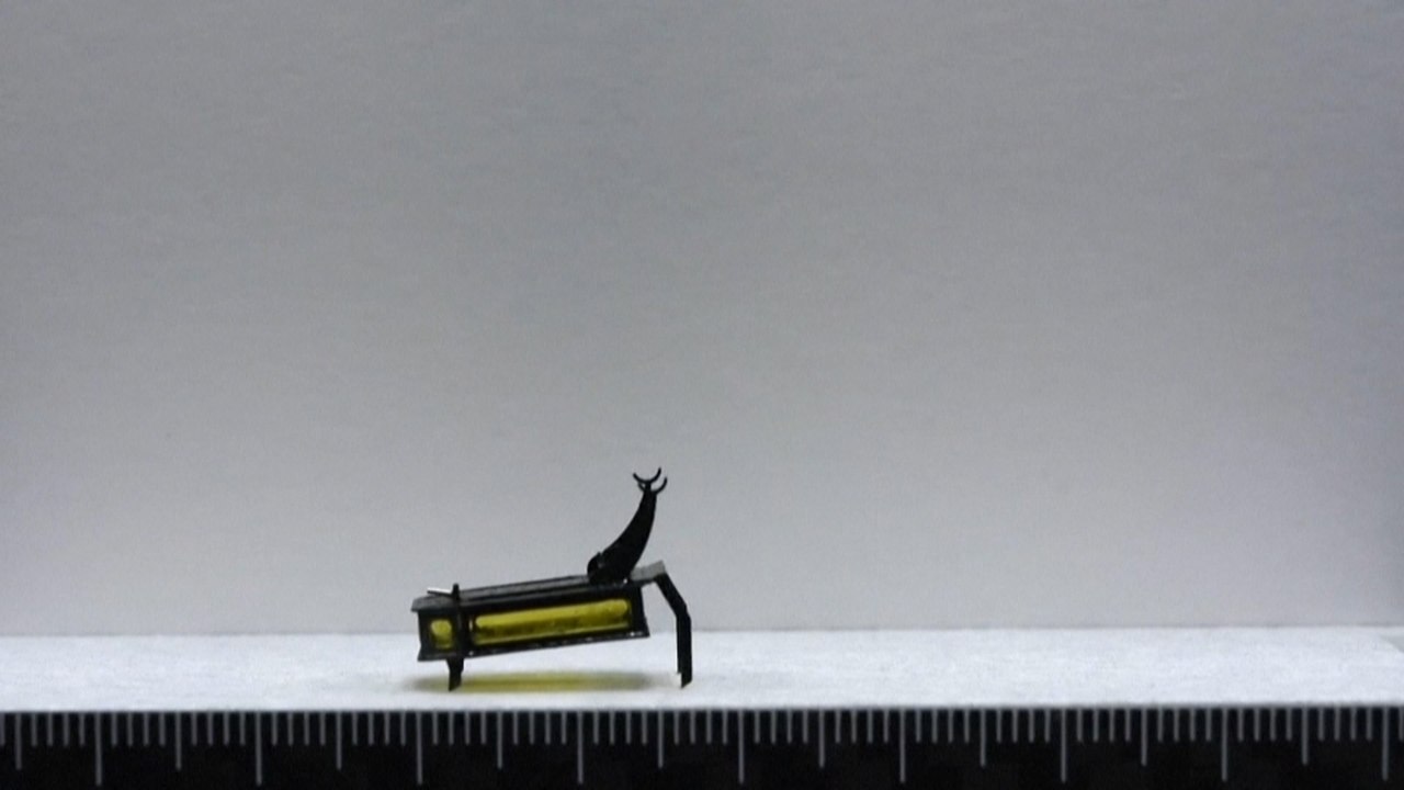 Scientists build methanol-powered beetle robot