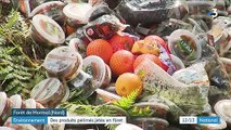 Des centaines de produits Carrefour périmés retrouvés dans une forêt du Nord  - Une enquête a été ouverte - VIDEO