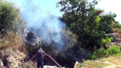 Alanya'da çıkan yangın yerleşim yerlerine sıçramadan söndürüldü