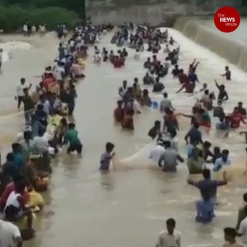 Video: Heavy rains turn overflowing tanks in Telangana villages into fishing spots.