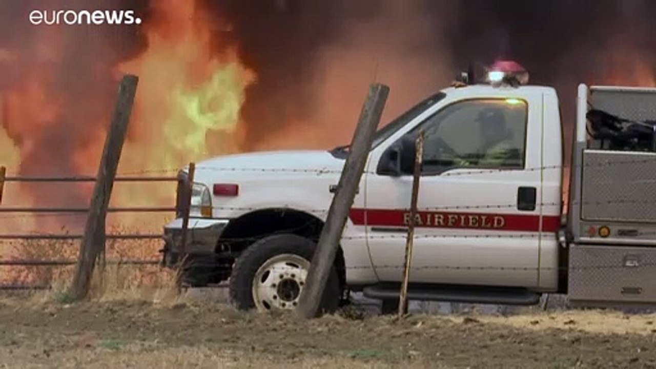 Waldbrände in Kalifornien - Tausende fliehen vor den Flammen