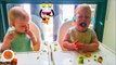 Funny Twins Baby Arguing Over Everything 24 Funny Babies And Pets