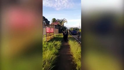 tn7-allanamientos-extraccion-de-oro-200820