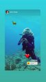 Laeticia Hallyday en plongée à Saint Barthélémy, filmée par Pierre Farge. Instagram.