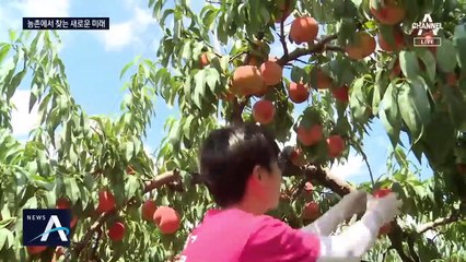 온라인 판로 뚫고 ‘농장일기’ 마케팅…꿈 찾은 청년농부