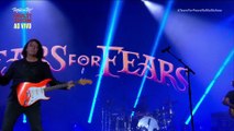 Pale Shelter - Tears For Fears (live)