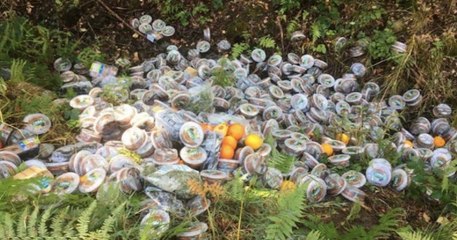 Des centaines de produits invendus de Carrefour et Leclerc retrouvés dans une forêt