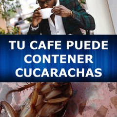 ATENCIÓN!! El café que tomas puede contener cucarachas