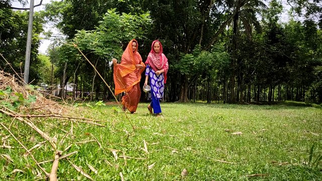 Goats milk out | village two beautiful girls goat milking by hand | Milking goats