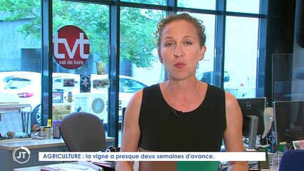 Le Journal - 20/08/2020 - Des vendanges précoces cette année