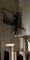 Cat Attempting to Catch Bug Jumps on Framed Wall Art Taking It Down