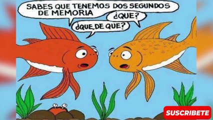 mitos que crees que son verdad