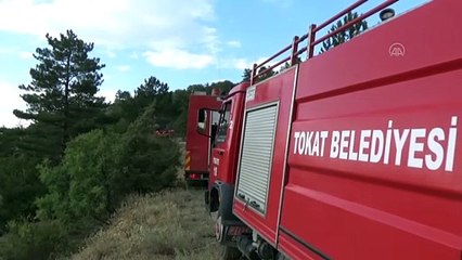 Orman yangını - TOKAT