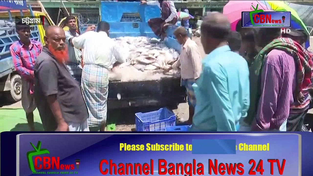 Hilsa is being caught in large numbers in the sea on the coast of Cox's Bazar