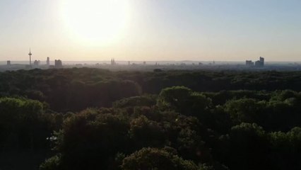 Cologne ready for Europa League final