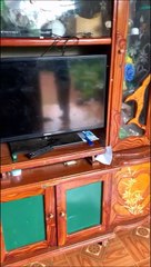 Regardez ce qu'il va découvrir dans son placard... Impressionnant