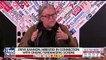 Steve Bannon indicted for defrauding 'We Build the Wall' donors bbc