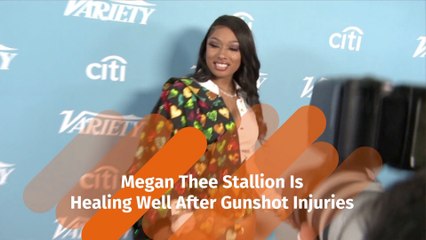 Megan Thee Stallion Is Healing