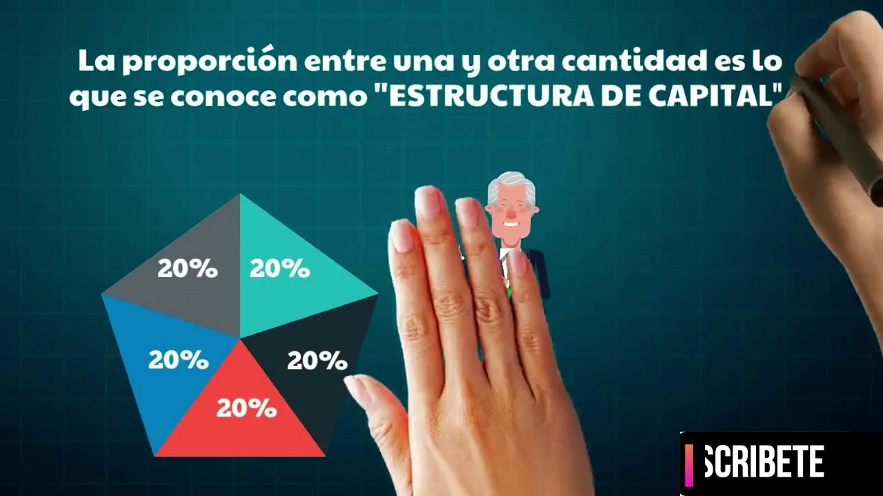 ESTRUCTURA DE CAPITAL