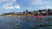 Wild Dolphins Jumping for Wheelchair Paddle Boarder