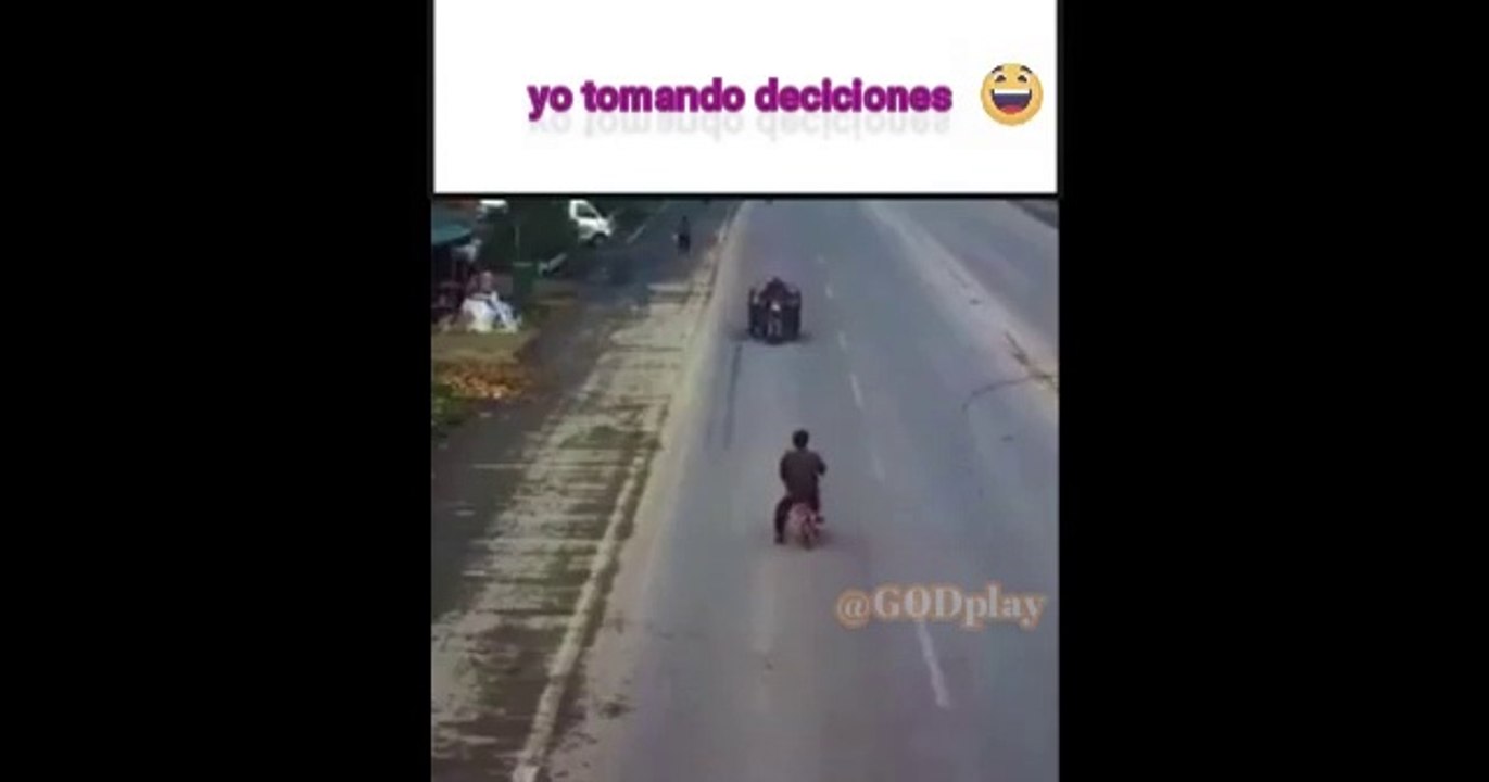 La mejor recopilacion de momasos