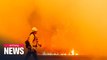 California in state of emergency as it battles wildfires, blackouts, heatwaves