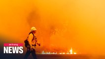 California in state of emergency as it battles wildfires, blackouts, heatwaves