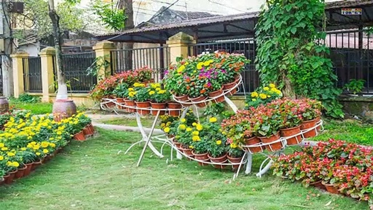 House and Garden - Cool House Yards Design Ideas