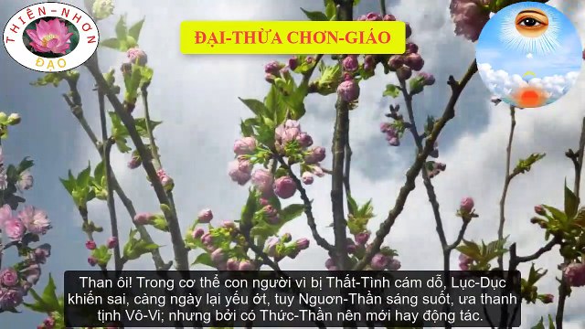 Thế nào là Thất Tình, Lục Dục, Tam thi, Cửu Cô, Ngươn-Thần, Thức Thần - Đại Thừa Chơn Giáo - Tam Kỳ Phổ Độ