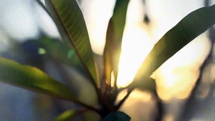 A vendre - Appartement - Ollon (1867) - 3.5 pièces - 85m²