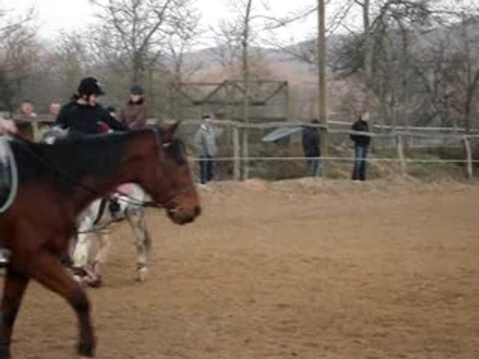 Horse ball fontaine liveau