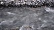Flowing Water Sounds: 30 Minutes Of Flowing Water (2020)