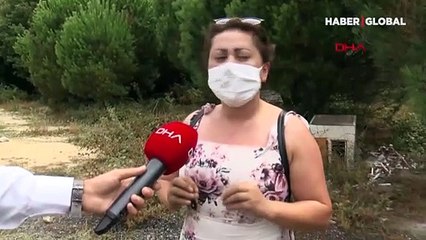 Çekmeköy'de sır olay: 27 köpek ortadan kayboldu... Kaybolan köpekler için kazı yapıldı