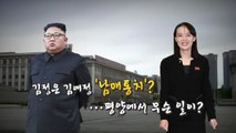 [영상] 김정은·김여정 '남매통치'?...평양에서 무슨 일이? / YTN