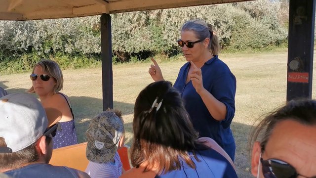 Vauvert : visite pédagogique à la manade de Sylvéréal avec la manadière Magalie Renaud