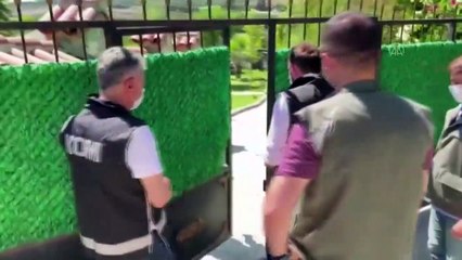İstanbul'da operasyon: Pumadan, iguanaya çok sayıda hayvan ele geçirildi