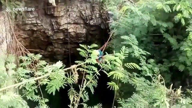 Firefighters rescue stray dog from well in south India