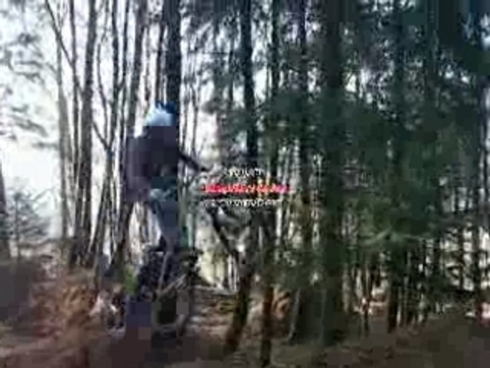 la ruche trail
