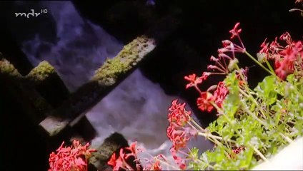 Rote Rosen Folge 174