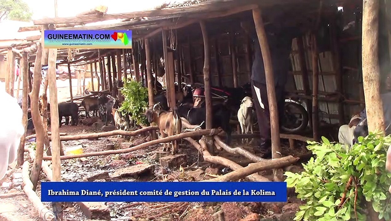 Gestion des alentours du Palais de la Kolima à Labé : plainte contre les autorités communales