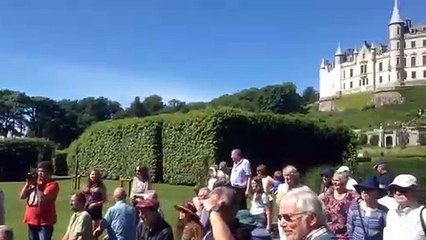 Falconry display, Dunrobin castle, Scotland