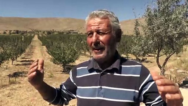 50 yıl sonra köyüne dönen müteahhit elma bahçesi kurdu - KAYSERİ