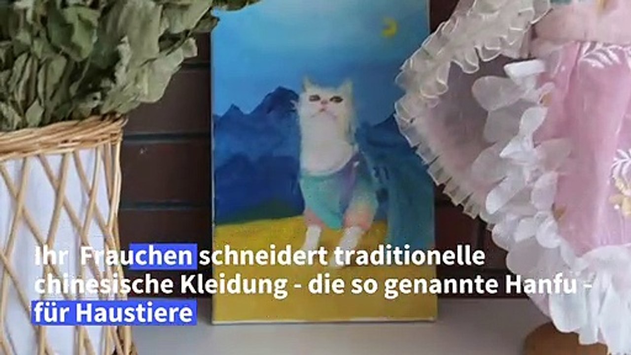 Chinesin schneidert seidene Hanfu für Haustiere